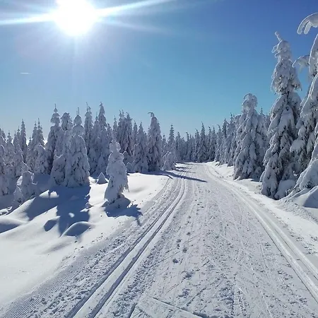 Kunc * Bedrichov (Liberec)