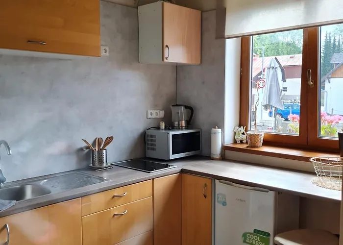 Kunc Apartmán Bedřichov