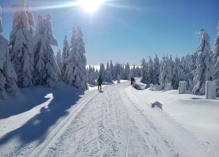 Apartmán Kunc Bedřichov